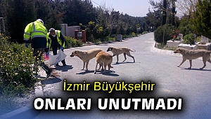 Can dostlar unutulmadı