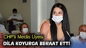 CHP'li Dila Koyurga beraat etti