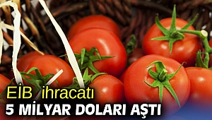 Ege İhracatçı Birlikleri'nden yapılan tarım ürünleri ihracatı 5 milyar doları aştı