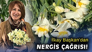İlkay Başkan'dan nergis çağrısı: Yüzlerce üretici zor durumda