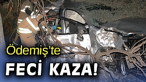 İzmir'de elektrik direğine çarpan otomobilin sürücüsü hayatını kaybetti