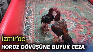 İzmir'de horoz dövüşüne büyük ceza
