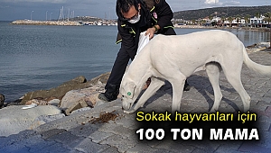 İzmir Valiliğinden sokak hayvanları için 100 ton mama