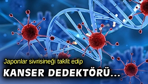 Japon araştırmacılar sivrisineğin koklama duyusuyla kanser dedektörü geliştirdi
