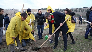 Karşıyaka’da yeşil seferberlik