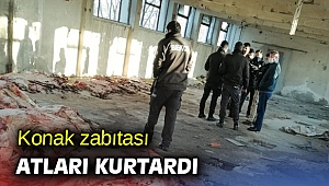 80 at kesip etlerini satan çeteye baskın