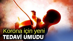 Korona için yeni tedavi umudu