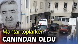 Mantar toplarken canından oldu