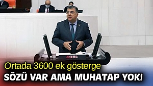 Ortada 3600 ek gösterge sözü var ama muhatap yok!
