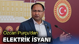 Özcan Purçu'dan elektrik isyanı