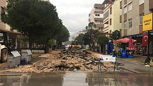 Parke kaplama çalışmaları devam ediyor