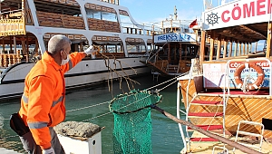 Yağmur ve rüzgarla gelenler temizlendi