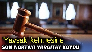 'Yavşak' kelimesine son noktayı Yargıtay koydu