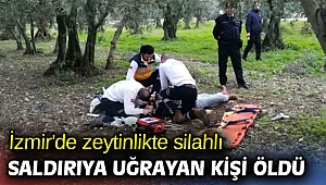 Zeytinlikte silahlı saldırıya uğradı! 