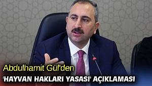 Abdulhamit Gül'den 'Hayvan hakları yasası' açıklaması