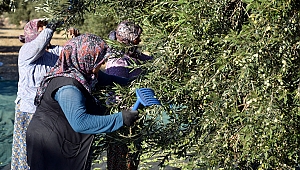“Aliağa Toprak ve Tarım Atlası” İçin Çalışmalar Başladı.