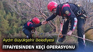 Aydın Büyükşehir Belediyesi İtfaiyesinden keçi operasyonu