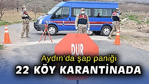 Aydın'da şap hastalığı paniği... 22 köy karantinaya alındı!