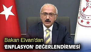 Bakan Elvan'dan 'enflasyon' değerlendirmesi