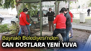 Bayraklı Belediyesi'nden can dostlara yeni yuva
