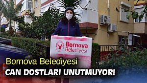 Bornova Belediyesi can dostları unutmuyor!