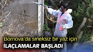 Bornova’da sineksiz bir yaz için ilaçlamalar başladı