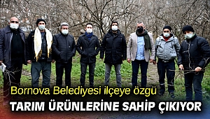 Bornova'ya özgü tarım ürünlerine sahip çıkılıyor!