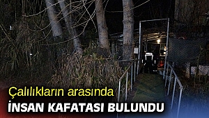 Çalılıkların arasında insan kafatası bulundu