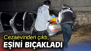 Cezaevinden çıktı, eşini bıçakladı