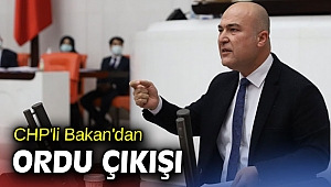 CHP'li Bakan'dan ordu çıkışı