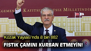 CHP'li Beko, 'Kozak Yaylası’nda 8 bin 882 fıstık çamını kurban etmeyin!'