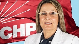 CHP'li Dağlı: “Ak Partili Duygu Göğde'nin sözlerinden hicap duyduk