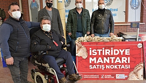 İstiridye Mantarlarının İlk Mahsulleri Satışa Sunuldu