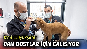 İzmir Büyükşehir Belediyesi can dostlar için çalışıyor