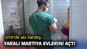 İzmir'de abi kardeş, yaralı martıya evlerini açtı