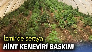 İzmir'de seraya Hint keneviri baskını