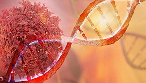 Kanser korkusu ve yanlış bilinenlere dikkat! 