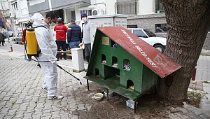 Karşıyaka Belediyesi’nden can dostlar için temizlik çalışması