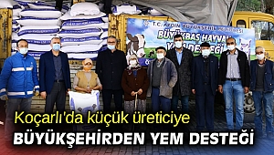 Koçarlı'da küçük üreticiye büyükşehirden yem desteği