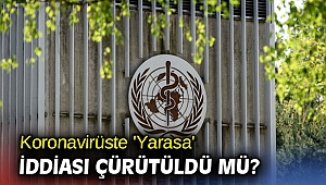 Koronavirüste 'Yarasa' iddiası çürütüldü mü? 