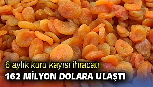 Kuru kayısı ihracatında hedef 300 milyon dolar
