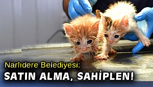 Narlıdere Belediyesi’nden: Satın alma sahiplen çağrısı!