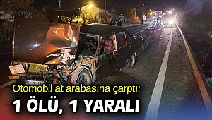 Otomobil at arabasına çarptı: 1 ölü, 1 yaralı