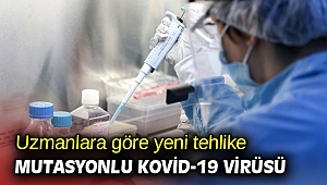 Uzmanlara göre yeni tehlike mutasyonlu Kovid-19 virüsü