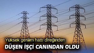 Yüksek gerilim hattı direğinden düşen işçi canından oldu