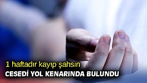 1 haftadır kayıp şahsın cesedi yol kenarında bulundu