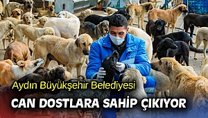 Aydın Büyükşehir Belediyesi can dostlara sahip çıkıyor