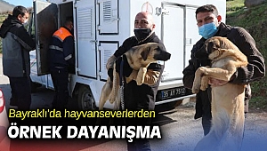 Bayraklı'da hayvanseverlerden örnek dayanışma