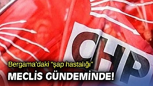 Bergama’daki “şap hastalığı” Meclis gündeminde!