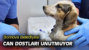 Bornova Belediyesi can dostları unutmuyor